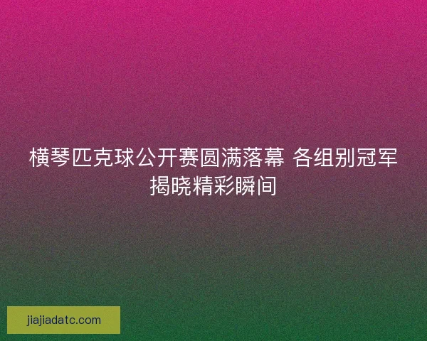 横琴匹克球公开赛圆满落幕 各组别冠军揭晓精彩瞬间