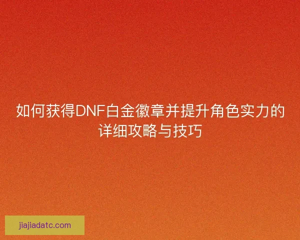 如何获得DNF白金徽章并提升角色实力的详细攻略与技巧