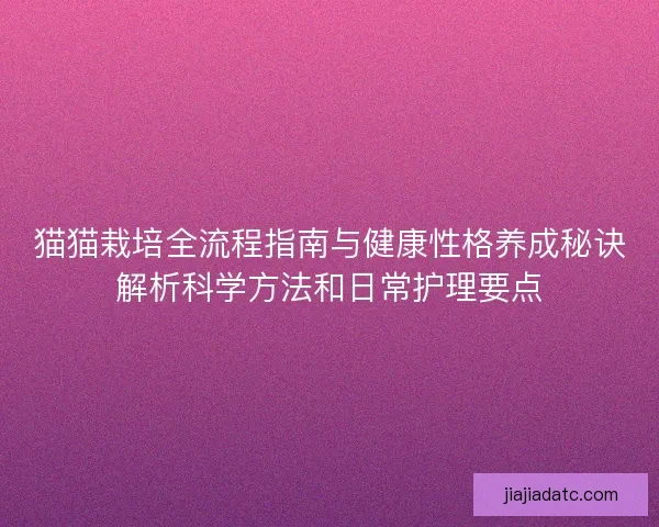 猫猫栽培全流程指南与健康性格养成秘诀解析科学方法和日常护理要点